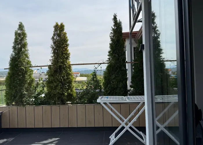 Reja Hamallaj * Draç