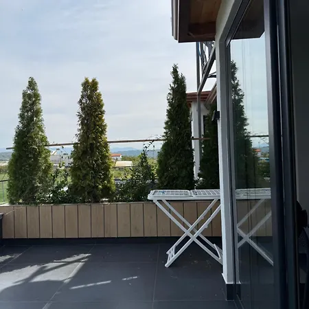 Reja Hamallaj * דראץ'