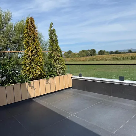 Reja Hamallaj * דראץ'