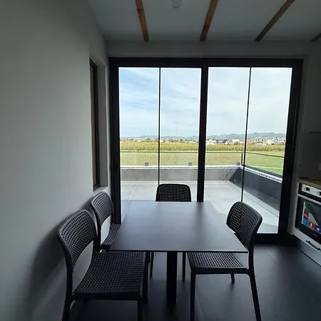 Reja Hamallaj דראץ'