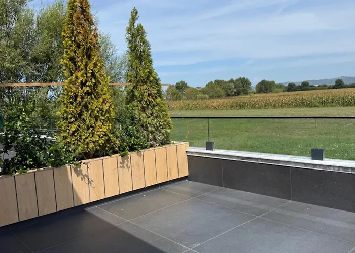 Reja Hamallaj * 德拉克